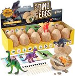 Easter Dig a Dozen Dino Egg Dig Kit