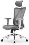 SIHOO M18 Ergonomic Office Chair, C