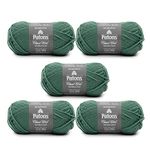 Patons Classic Wool Rich Grass Yarn - 5 Pack of 3.5oz/100g - Wool - 4 Medium - 210 Yards - Knitting/Crochet