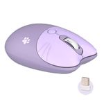 Cat Mouse For Computer