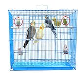 JAINSONS PET PRODUCTS 2.5 Feet Bird Iron Cage For Parakeet, Lovebird, Parrot, Budgie, Cockatiel Cage Hammock 30X18X18 Inch (Color May Vary)