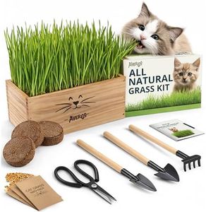 Cat Grass Kit for Indoor Cats – x4 Seed Packets | Cat Grass Seeds with Wooden Planter, Soil & Mini Gardening Tools for Nipping – Pet-Safe Wheatgrass Grass