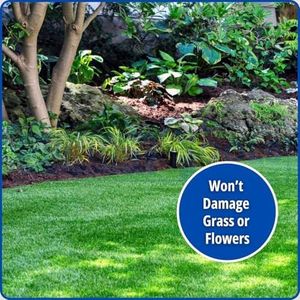Dunnet Tools Rodent & Insect Repellent, 20L – Pest Control Solution