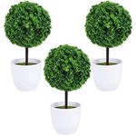 Topiary Shrubs