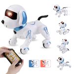 Dog Robots