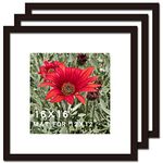 SKAOTUS 16x16 Picture Frame Black 3 Pack Solid Wood for Mat 12x12 Wall Mounting Square Poster Photo Frames