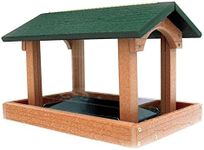 Going Greentm Tall Premier Hopper Bird Feeder