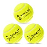 Cockatoo Rubber Cricket Tennis Ball, Construction of Tennis Ball for Cricket for Optimal Performance,Suitable for All Skill Levels. (90 Gr Per Ball-Pack of 3-Yellow)