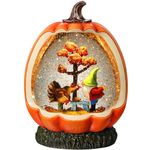 Gorrzai Fall Snow Globe Pumpkin Fall Decorations for Home, Gnome Snow Globe with Turkey Swirling Glitter Timer, Lighted Thanksgiving Decor Indoor Fall Decor, USB or Battery Operated