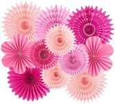 EASY JOY 11PCS Hot Pink Party Decor