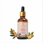 Karmic Beauty 100% Pure Moroccan Argan Oil | Pure, Natural Organic & Cold Pressed | ECOCERT & USDA Certified | Lightweight, Non-Greasy & Luxurious Oil | Ideal for all Hair, Face, Skin & Body Types | 50 ml