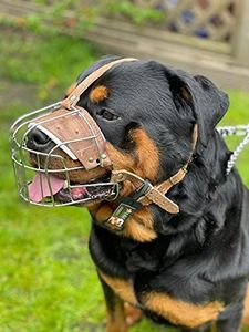 STRONG Wire Metal muzzle Basket Dog Muzzle Rottweiler,Mastiff Golden Retriever & other (R2, Silver/Brown Leather)