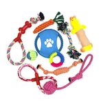 Dog Toys