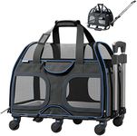 Katziela Pet Carrier - Airline Appr