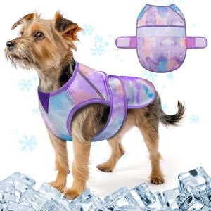 KYEESE Dog