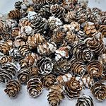 BANBERRY DESIGNS Mini White Washed Pinecones - Approx. 1LB Bag of Small Assorted Sized Pine Cones - Fall and Christmas Craft