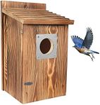 Bird Houses for Outside with Metal Predator Guard for Bluebird Wren Swallow Finch, Carbonized Wooden Nesting Boxes for Outdoor, Sturdy Bird House,Easy to Clean