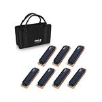 Pyle Professional Brass Metal Covered 10 Hole 7 Piece Diatonic Harmonica Kit - Blues Harp Set Includes Storage Case and Polishing Cloth - Key of C -Great for Pro, Beginner Lessons or Band - PHARM48ST