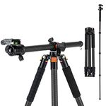 Fotopro 62" Carbon Fibre Horizontal Tripod, Compact Travel Tripod with Ball Head Quick Release Plate, Camera Tripod Monopod with Multi Angle Center Column for DSLR, Video Tripod Max Load 22lbs