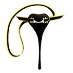 FINIS Swim Posture Trainer