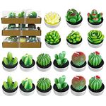 18PCS Cactus Tealight Candles Set, FULANDL Handmade Delicate Succulent Cactus Tealight Candles, Artificial Succulent Plants Candles for Party, Festival, Birthday, Wedding, Home Decor