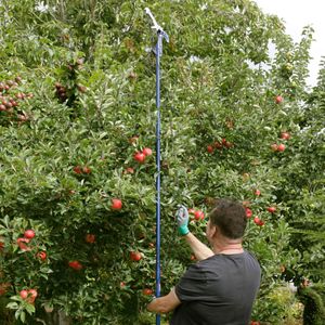 Spear & Jackson Telescopic Tree Pruner – Extendable Garden Lopper