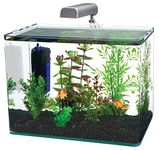 Penn Plax Curved Corner Glass Aquarium Kit, Filter, LED Light, Float Glass for Maximum Viewing 5 Gallon