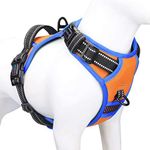 PHOEPET 2019 No Pull Dog Harnesses 