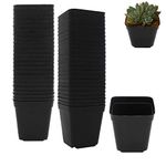 Plastic Nursery Pots 50 Pcs 2.7 Inch Small Square Plant Pot Durable Balck Starter Container for Starting Seedlings or Succulents