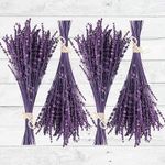 300+Stems Dried Preserved Lavender 