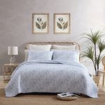 Tommy Bahama | Distressed Collection | Quilt Set - 100% Cotton, Lightweight & Breathable Bedding, Reversible & Ideal for All Seasons, Pre-Washed for Added Softness, Queen, Blue