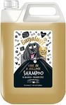 Dog Shampoo with a Distinctive One 