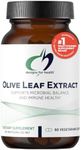 Designs for Health Olive Leaf Extract Capsules - 500mg Leaves Extract Supplement Standardized to 20% Oleuropein - Supports Microbial Balance + Immune Health, Non-GMO + Vegetarian (90 Capsules)