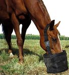 Feed Bag for Horses, Heavy Duty Durable Canvas Grain Feedbag, Small Medium or Large