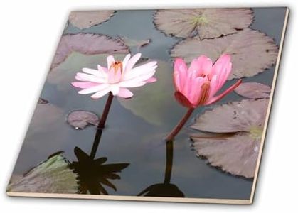 3dRose ct_192494_1 Twin Lotus Flower Ceramic Tile, 4"