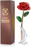 Sinvitron Gold Dipped Rose 24K Real