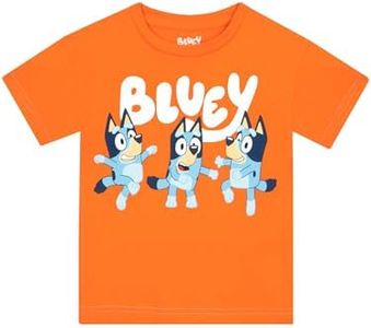 BlueY Tee Shirt Enfant Garcon | Bingo Garçons T-Shirt 100% Coton | T-Shirts à Manches Courtes Garçon | Orange 4-5 Ans