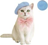 Wholesale Fashion Four Seasons Funny Customized Wool Pet Beret Hat with Accessories (Blue)