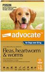 Advocate Dog, Monthly Spot-On Protection from Fleas, Heartworm & Worms, Three Pack Flea Treatment for XL Dogs Over 25 kg, 3 Pack