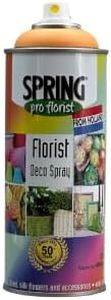 SPRING PRO FLORIST Deco Spray Paint (017 Pumpkin)