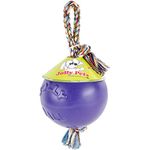 Jolly Pets 8-Inch Romp-n-Roll, Purple