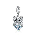 Owl Charm 925 Sterling Silver Bird Charm Animal Charm Birthday Charm Pet Charm for Pandora Charm Bracelet (Owl)