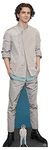 STAR CUTOUTS CS827 Timothee Hal Chalamet Lifesize Cardboard Cutout/Standee/Standup Height 179cm Width 58cm, Solid, Multicolour, Regular