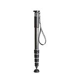 Gitzo GM4552L 1/4, 3/8" Carbon Black Camera Monopod