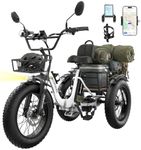 Skeri Electric Tricycle for Adults,