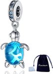Pandach Lucky Turtle Bead Charm Luc