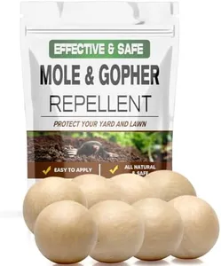 LEBMP Mole