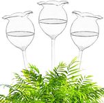 Haawooky Self Watering Globes,Clear Glass Plant Water Bulbs,Hand Blown Automatic Plant Waterer Device for Indoor Outdoor Plants,3 Pack