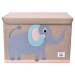 Storage Trunk For Girls