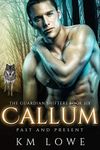 Callum: Past And Present (The Guardian Shifters Book 6)